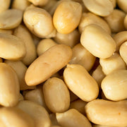 Roasted/Unsalted Blanched Peanuts