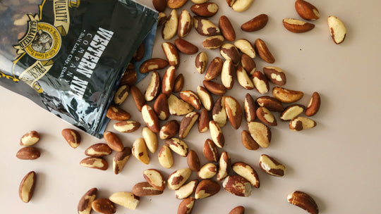 A warm and inviting display of assorted nuts, handcrafted brittles, and fudges arranged aesthetically with gift baskets and seasonal packages in the background.