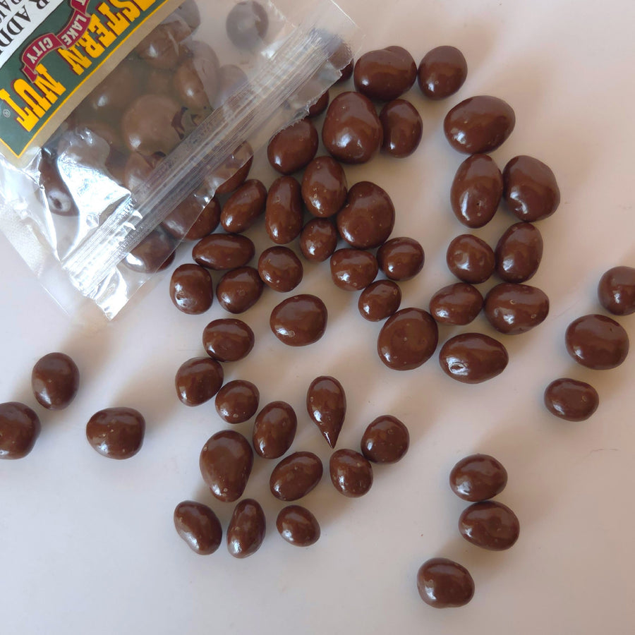 No Sugar Added Chocolate Raisins