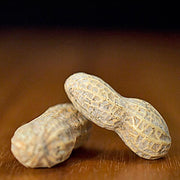 Raw Inshell Peanuts