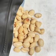 Roasted/Salted Blanched Peanuts